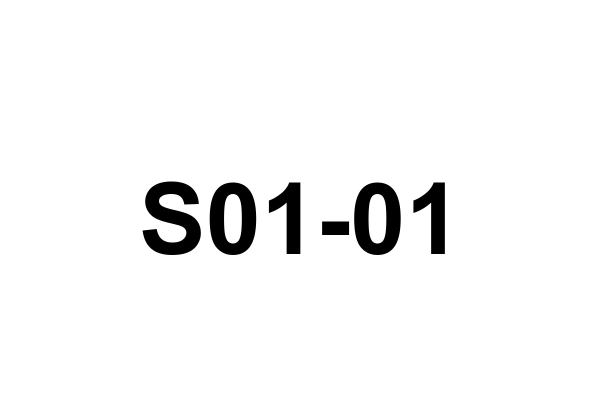 Room image placeholder for S01