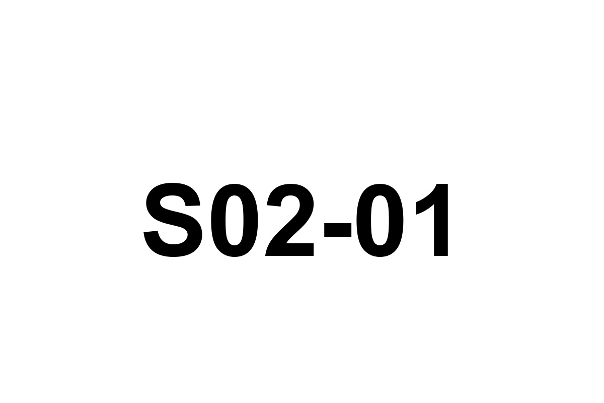 Room image placeholder for S02