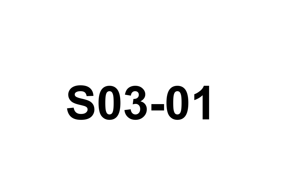 Room image placeholder for S03