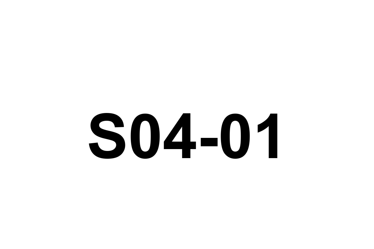 Room image placeholder for S04