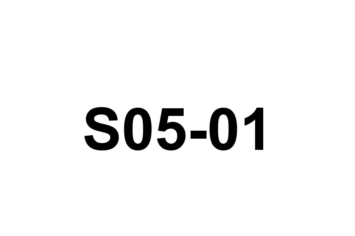 Room image placeholder for S05