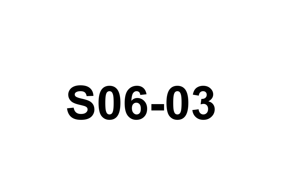 Room image placeholder for S06
