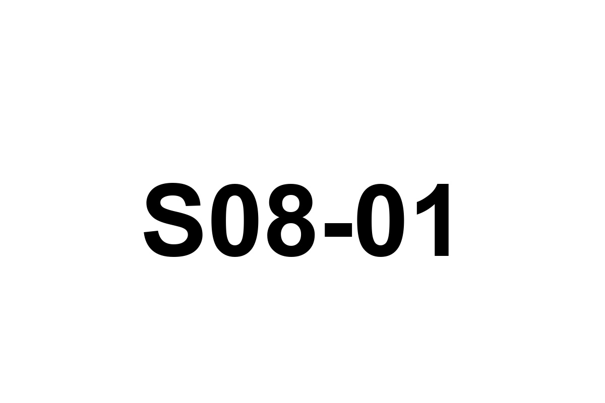 Room image placeholder for S08
