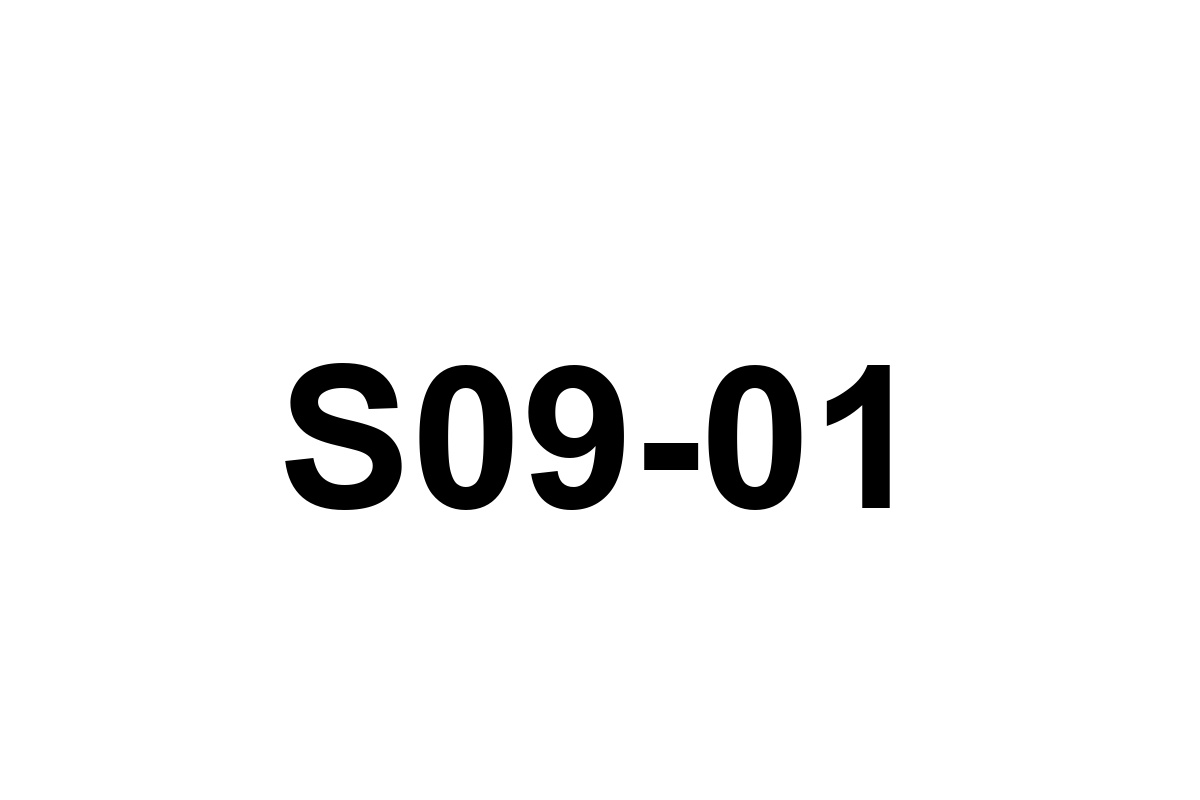 Room image placeholder for S09