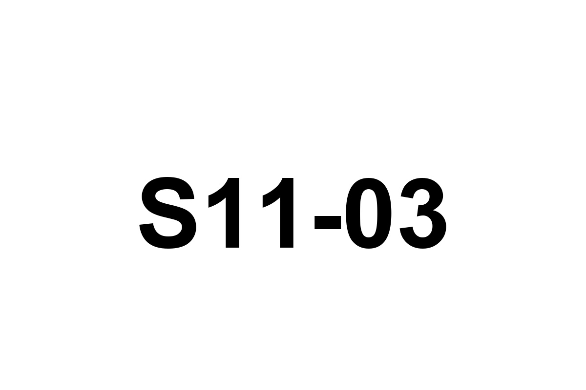 Room image placeholder for S11