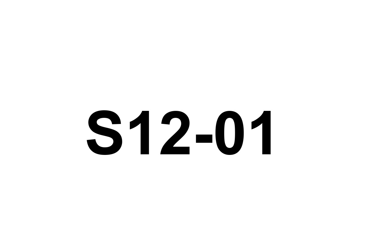 Room image placeholder for S12