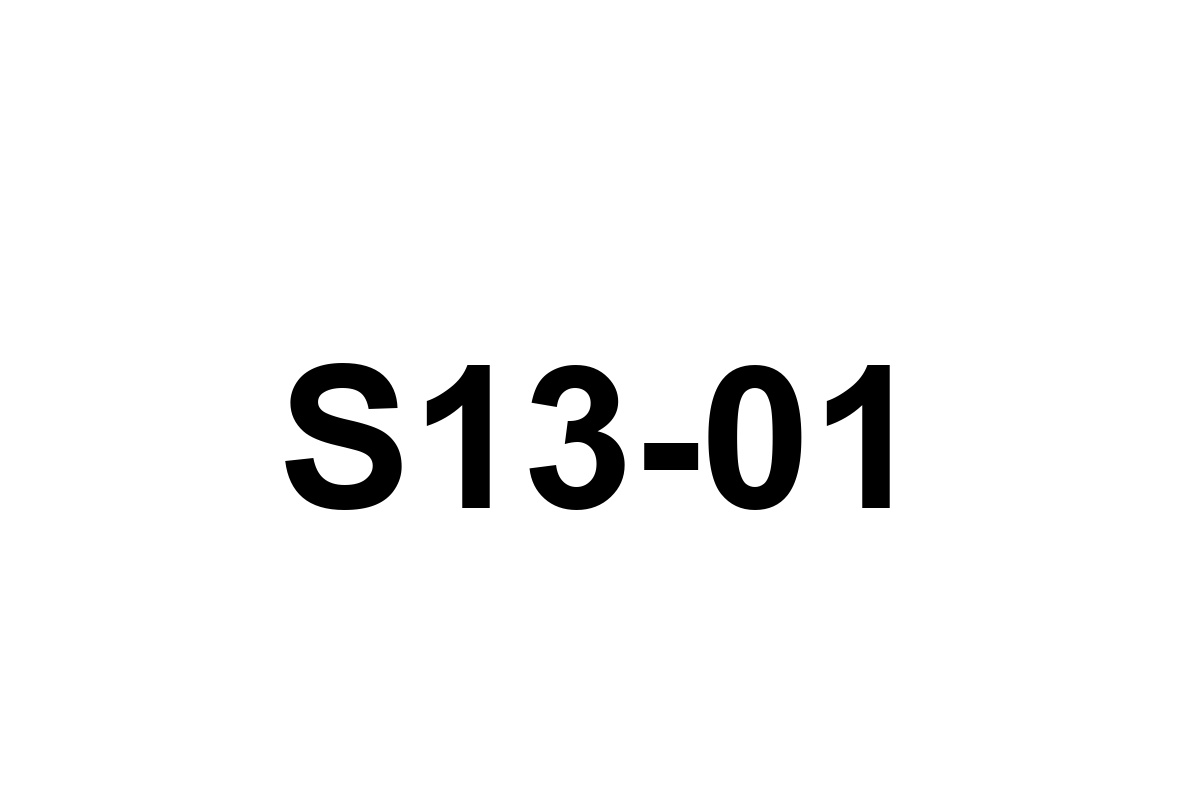 Room image placeholder for S13