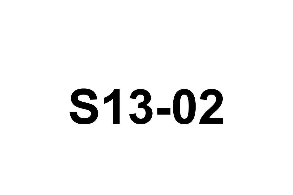 Room image placeholder for S13