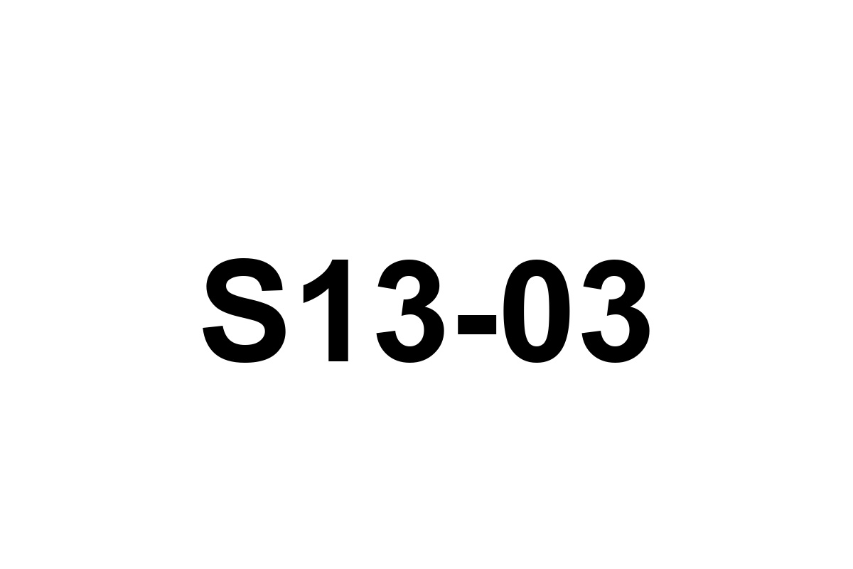 Room image placeholder for S13