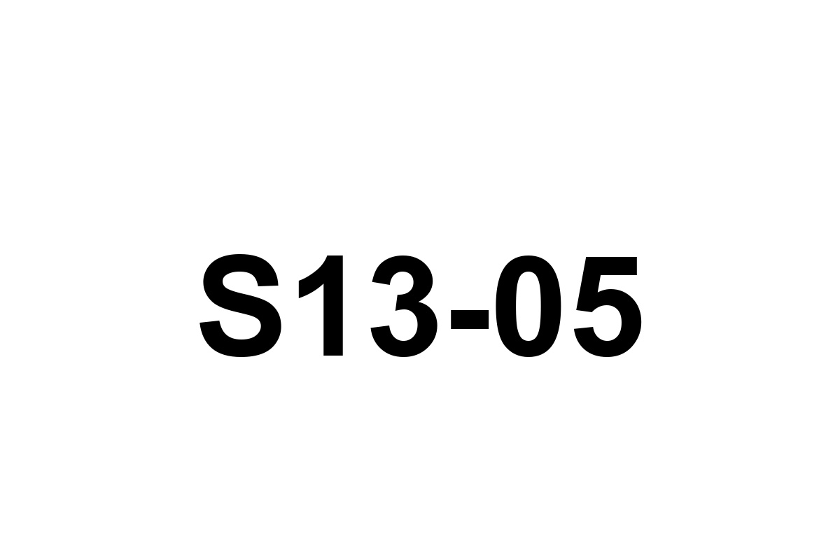 Room image placeholder for S13