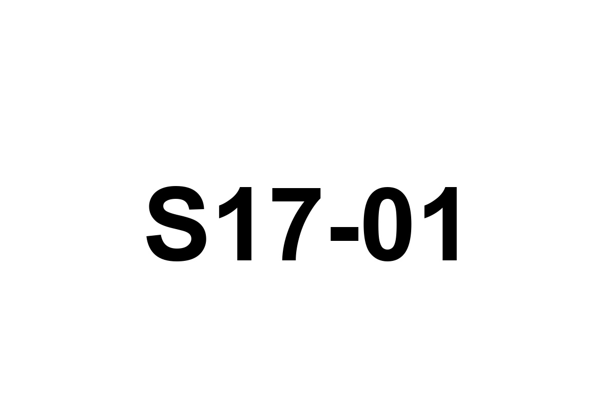Room image placeholder for S17