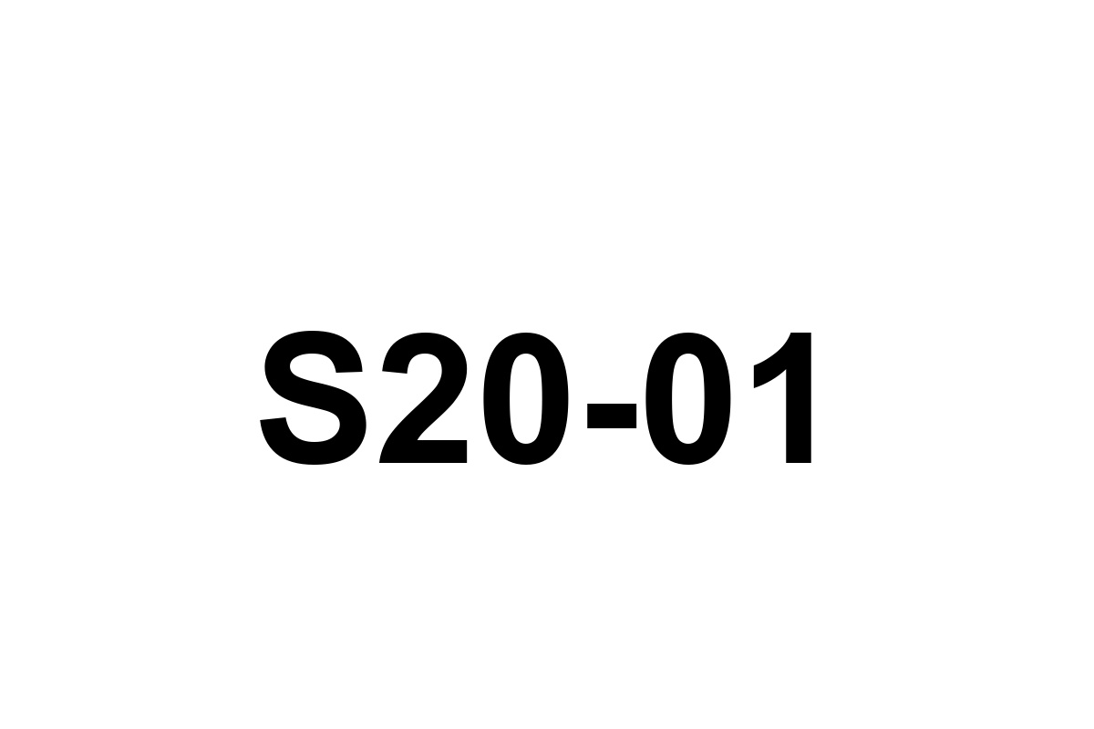 Room image placeholder for S20