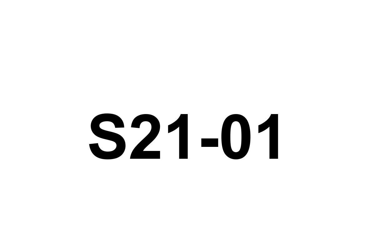 Room image placeholder for S21