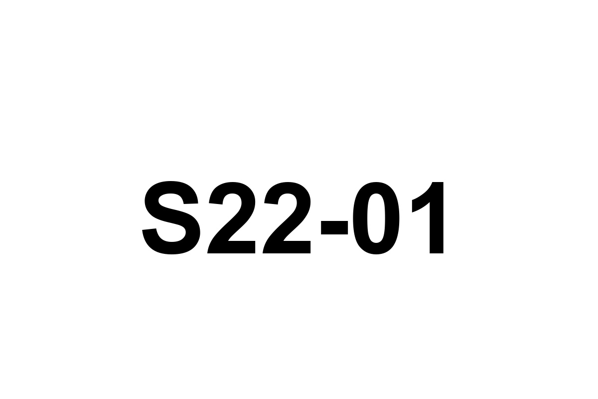 Room image placeholder for S22