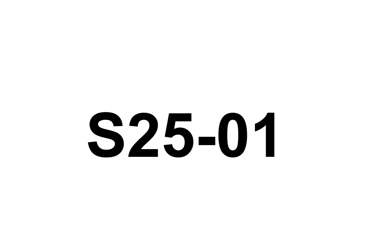 Room image placeholder for S25