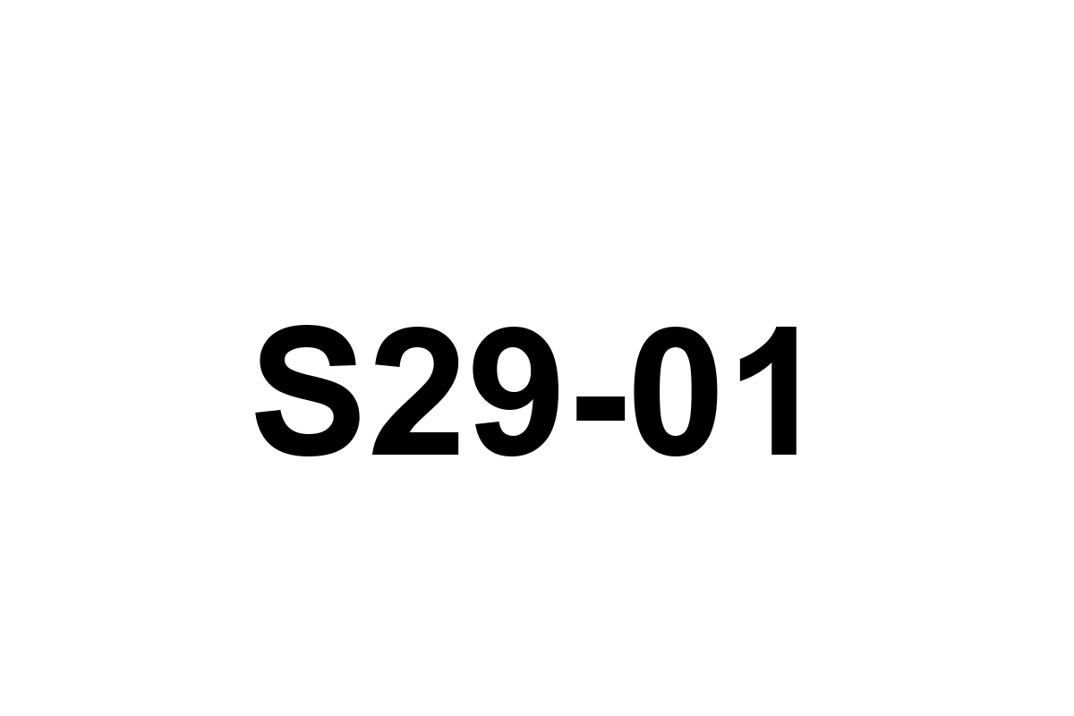 Room image placeholder for S29