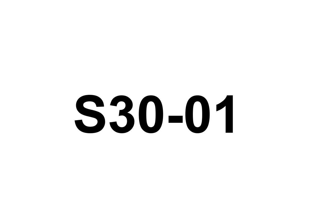 Room image placeholder for S30